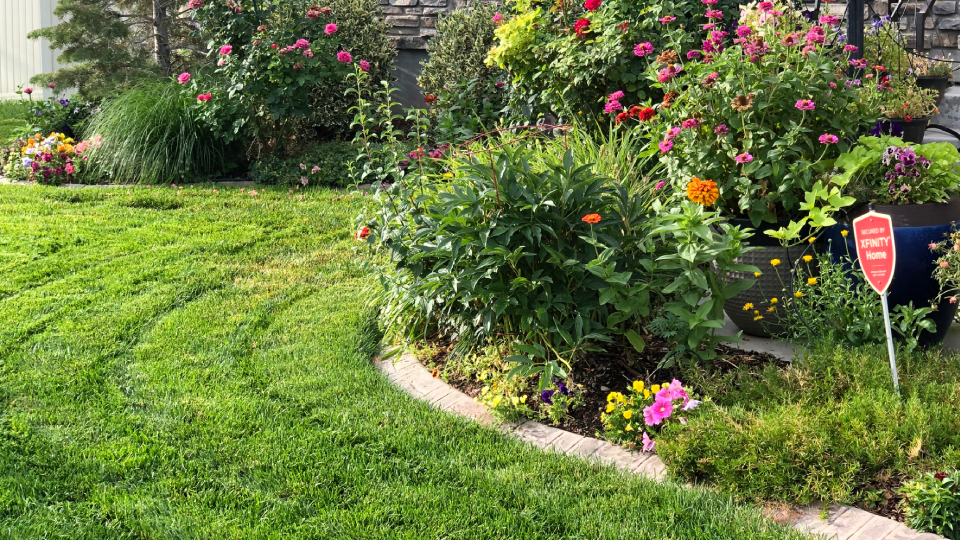 LP Tile Img Lawn Garden