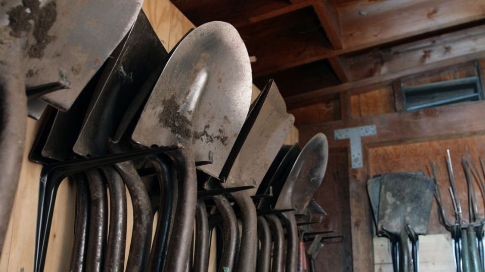 A garden shed filled with shovels, hoes, and other tools.