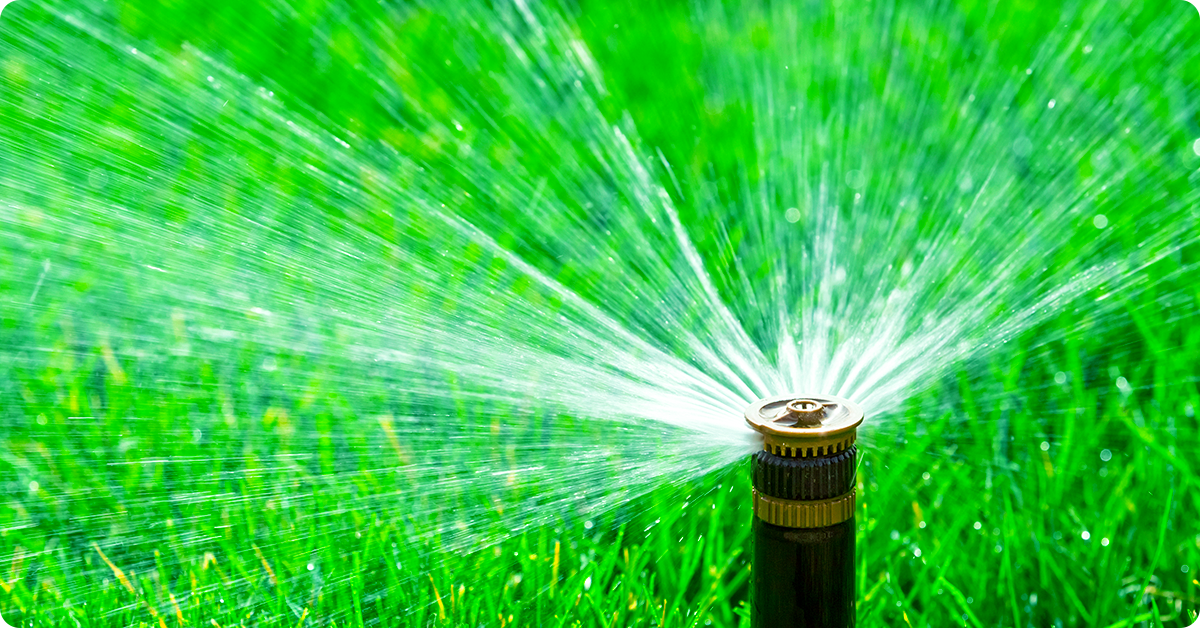 lawn-watering-article-img2c-1